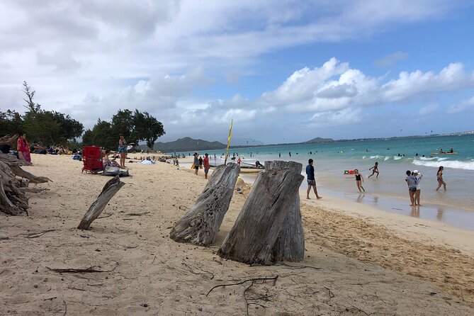 Circle Island tours - swim with turtles,Private & Small Group Tours - North Shore Animal Spotting: Sea Turtles and Monk Seals From a Safe Distance