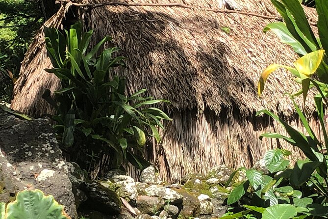Circle Island tours - swim with turtles,Private & Small Group Tours - Haleiwa and the Macadamia Farm Finish: How the Day Winds Down