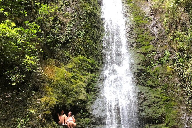 Circle Island tours - swim with turtles,Private & Small Group Tours - Price and Value: Is $150 Worth It for an 8-Hour Island Day?