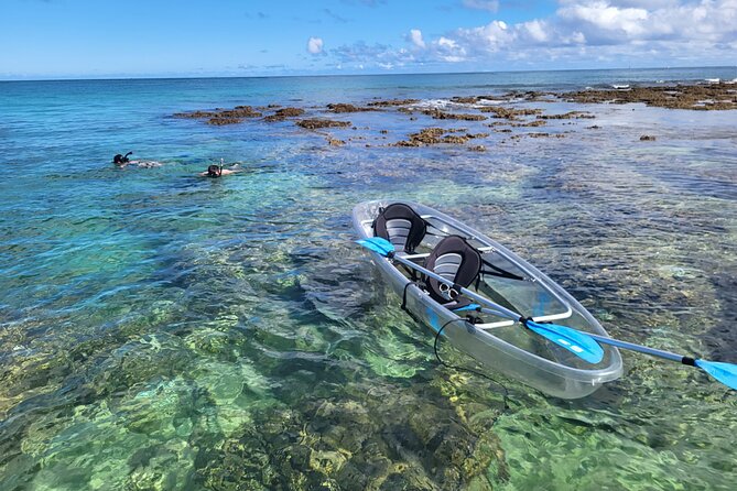 Clear Bottom Kayak - Guaranteed to see Turtles! - Key highlights that matter on the water