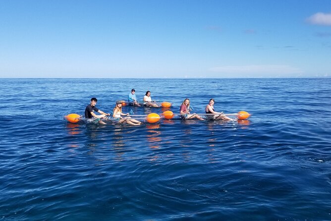 Clear Bottom Kayak - Guaranteed to see Turtles! - Haleiwa’s North Shore: Why this turtle kayak works