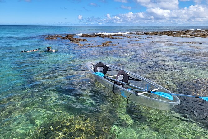 Clear Bottom Kayak - Guaranteed to see Turtles! - Clear-bottom kayaking: the underwater view that makes turtles easy