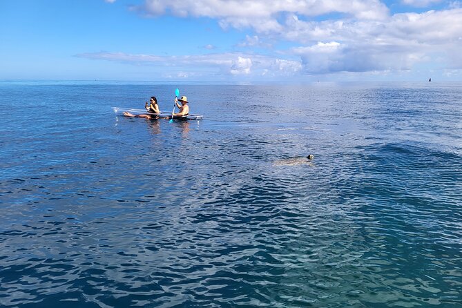Clear Bottom Kayak - Guaranteed to see Turtles! - Snorkeling gear and where it shines (and where it doesn’t)