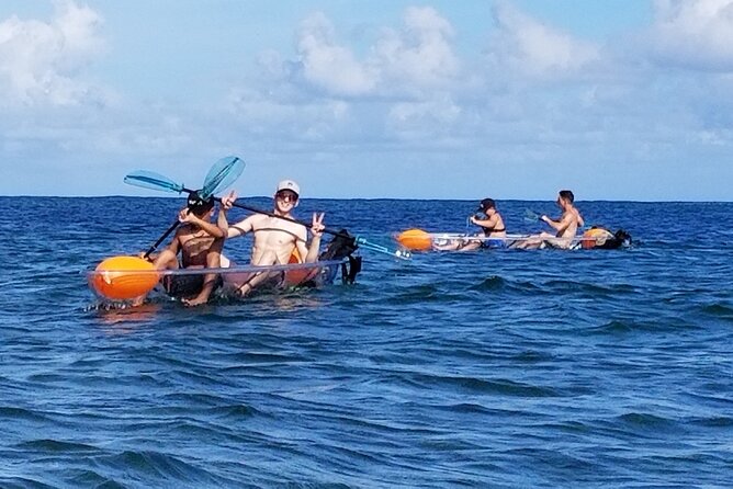 Clear Bottom Kayak - Guaranteed to see Turtles! - Conditions and guide decisions: how the plan stays safe