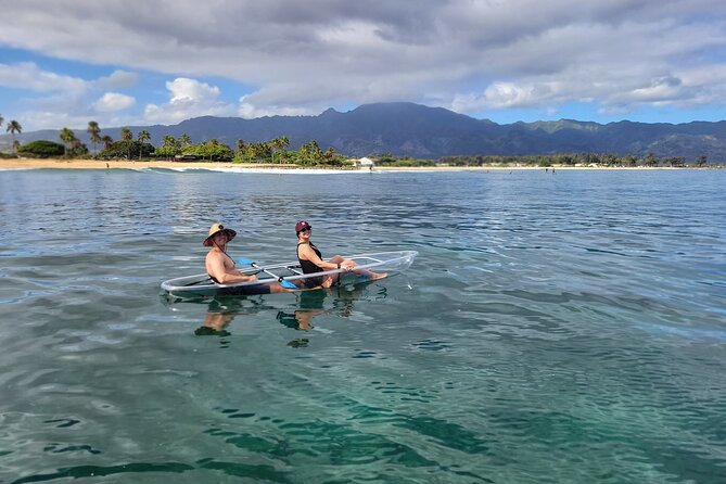 Clear Bottom Kayak - Guaranteed to see Turtles! - The river stretch: calmer paddling, more time to spot life