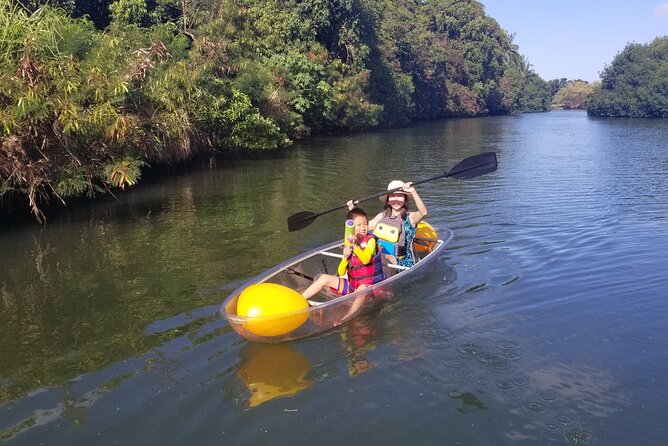 Clear Bottom Kayak - Guaranteed to see Turtles! - Price and value: is $172.77 worth it?