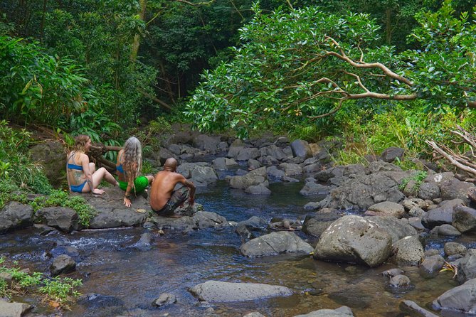 Custom Island Adventure Tours - Private Oahu touring starts with a real pickup