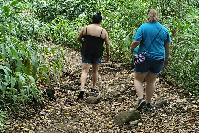 Custom Island Adventures Tour - Temples and Cultural Sites: Practical Context, Not a Lecture