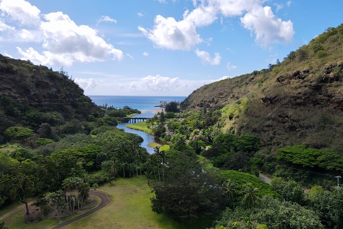 Customizable Private Tour Oahu- Ko Olina Resorts Pick Up Included - Diamond Head area viewpoints: dramatic, but plan for timing