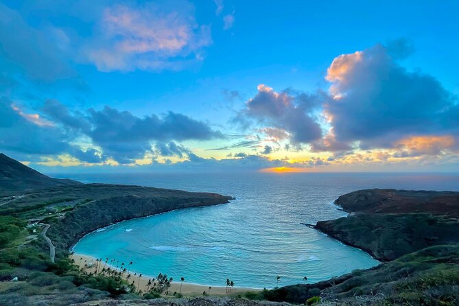 Customizable Private Tour Oahu- Ko Olina Resorts Pick Up Included - Meeting point and the minivan details you’ll actually use