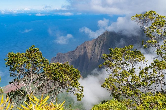 Day Trip from Oahu to Kauai: Highlights & Movie Sites - Who This Tour Suits Best (and Who Should Skip It)