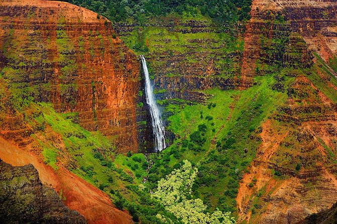 Day Trip from Oahu to Kauai: Waimea Canyon & Wailua River - How the day trip actually works: flights, a van, and a 5:30am start