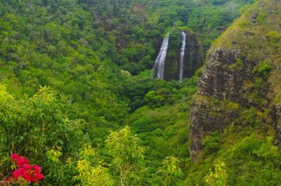 Day Trip from Oahu to Kauai: Waimea Canyon & Wailua River - Fern Grotto: the cave walk you’ll remember longer than the photo