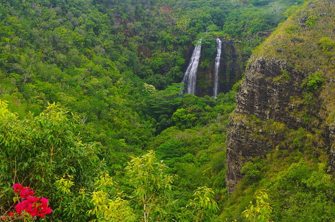 Day Trip from Oahu to Kauai: Waimea Canyon & Wailua River - Fern Grotto: the cave walk you’ll remember longer than the photo