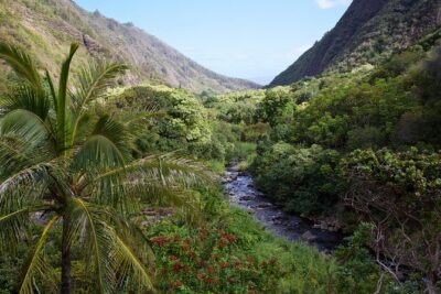 Day Trip Oahu to Maui: Sips, Sites and Bites - The early-morning logistics: pickup, flights, and why 15 hours feels real