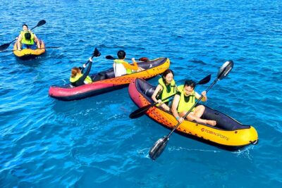 Deluxe Turtle Snorkeling Escapade at Waikiki - Getting There: Pier D Meeting Point and Smooth Check-In