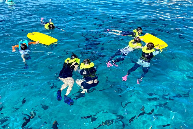 Deluxe Turtle Snorkeling Escapade at Waikiki - Snorkeling in Waikiki Waters: What the Morning Feels Like
