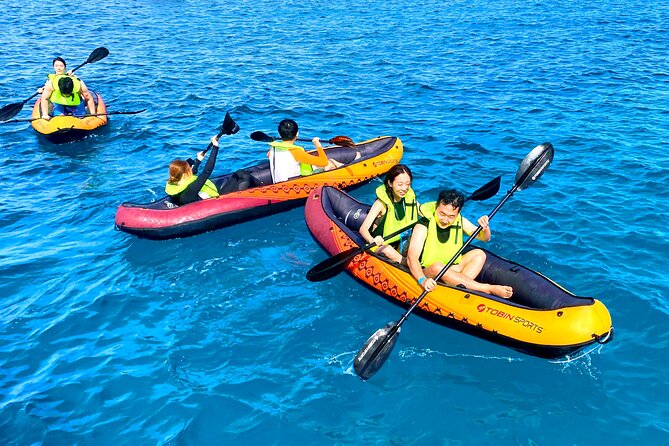 Deluxe Turtle Snorkeling Escapade at Waikiki - Getting There: Pier D Meeting Point and Smooth Check-In