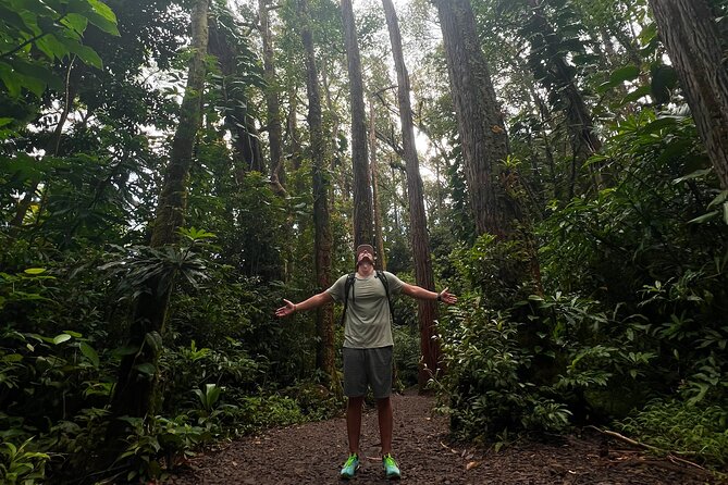 Diamond Head and Manoa Falls Hike and Adventure Tour - Manoa Falls Trail: Short Walk, Big Jungle Reward