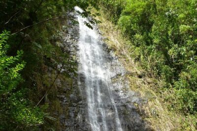 Diamond Head and Manoa Falls Hike and Adventure Tour - Climbing Diamond Head With A Real Plan (Not Just A Random Walk)