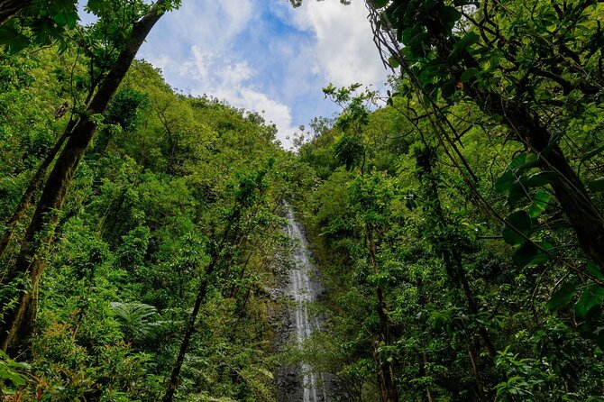 Diamond Head and Manoa Falls Hike and Adventure Tour - Who This Tour Fits Best (And Who Might Prefer Something Else)