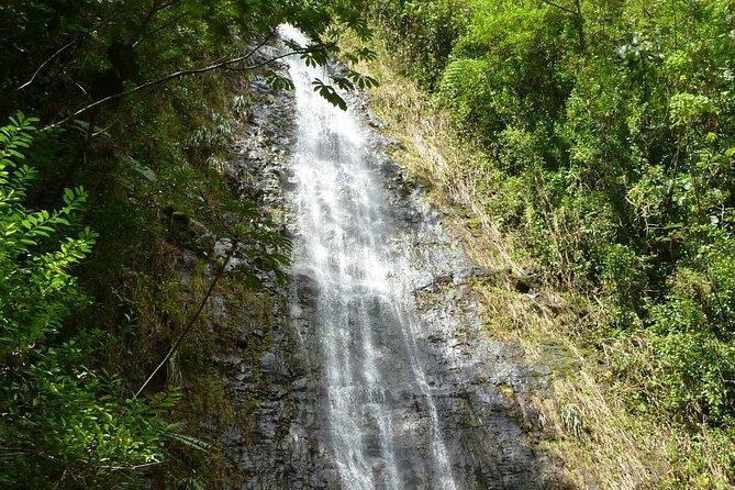 Diamond Head and Manoa Falls Hike and Adventure Tour - Climbing Diamond Head With A Real Plan (Not Just A Random Walk)