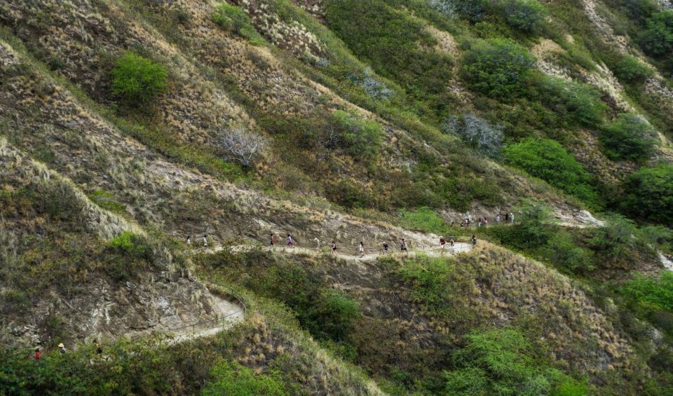 Diamond Head Manoa Falls - Who This Tour Is Best For