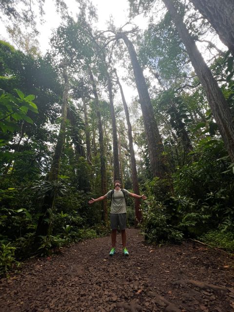 Diamond Head Manoa Falls - Why This Crater + Waterfall Plan Works (And Not Just Because It’s Famous)