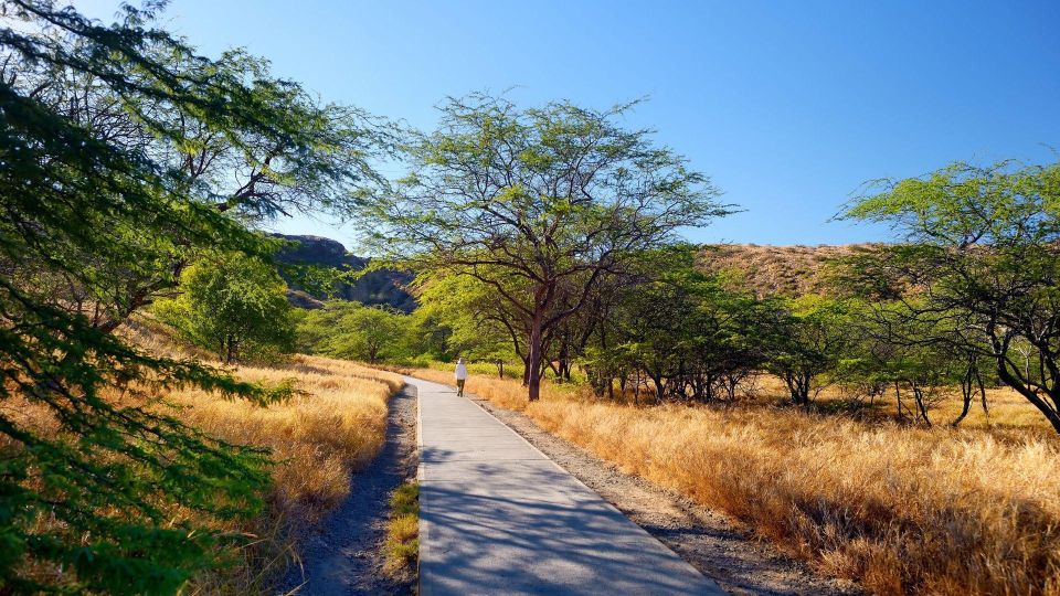 Diamond Head Manoa Falls - If There’s Time: Customize With 30+ Oahu Spots