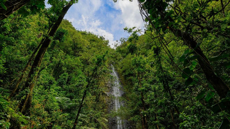 Diamond Head Manoa Falls - Price and What You Actually Get for $245