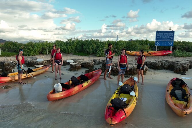 Discover Popoia Island and Kailua Bay by Kayak Guided Tour - Key Things You’ll Notice on This Popoia Island Kayak Tour