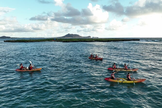 Discover Popoia Island and Kailua Bay by Kayak Guided Tour - The Kailua Bay Paddle: Sea Turtles, Fish, and Views