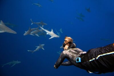 Dive with Sharks in Hawaii: Shark Tour from Haleiwa - The safety briefing: how you stay calm if a shark comes close