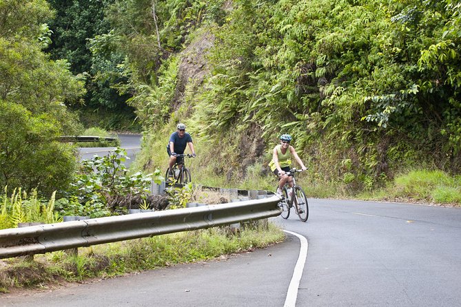 Downhill Bike and Ko'olau Waterfall Hike Tour - Key Highlights You’ll Actually Feel on the Day