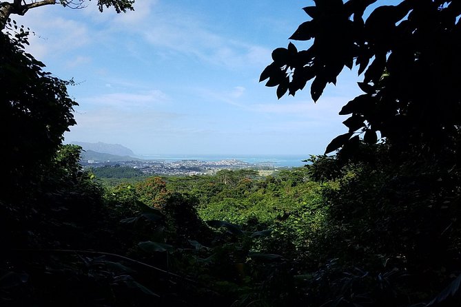 Downhill Bike and Ko'olau Waterfall Hike Tour - Who Should Book This (and Who Might Skip It)