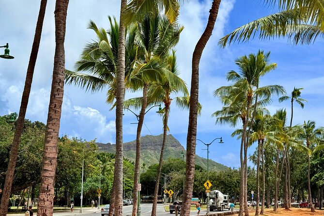 Downtown Honolulu Food Tour with 5 Local Favorites Tastings - How a Waikiki Food Walk Keeps You Actually on Track
