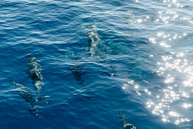 Exclusive Waikiki Yacht Snorkel with Lunch and Bevs - The Diamond Head piece and why it fits this outing