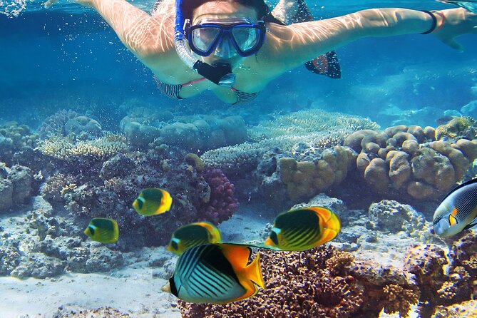 Explore Turtle Canyons Waikiki Snorkel and Sail Adventure - Ala Moana Pier A check-in: getting on board fast