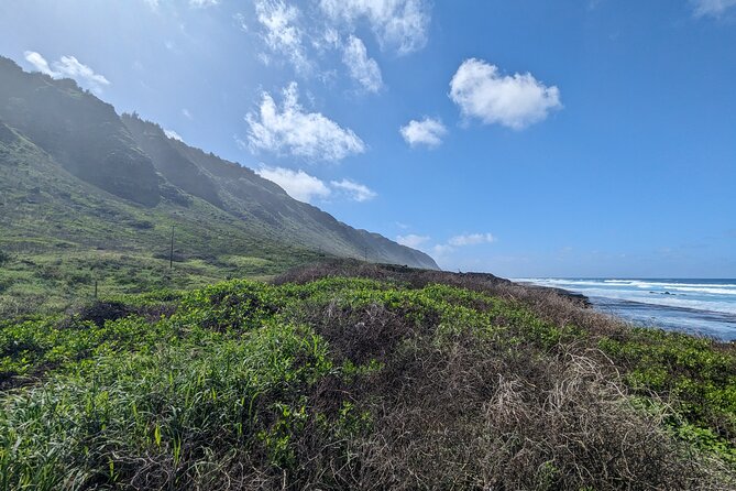 Famed North Shore Tour - Haleiwa: Surf Town Charm, Real-World Shopping, and Local Food Energy