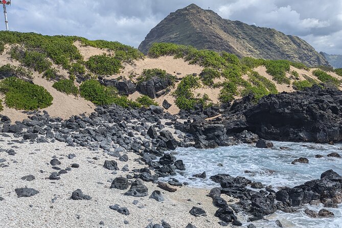 Famed North Shore Tour - Puaena Point Beach Park + Sharks Cove: Sea Turtles, Snorkel Conditions, and Coastal Cool-Downs