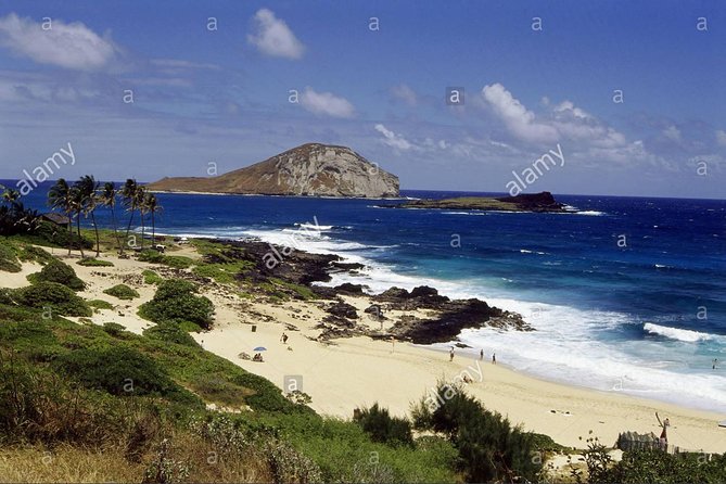 Family-Friendly Private Circle Island Tour of Oahu - Stop-by-stop: Waimea Bay, North Shore town, and the surfing vibe
