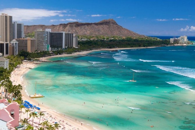 Family-Friendly Private Circle Island Tour of Oahu - Turtle Beach and the monk seal odds (no guarantees, just good chances)
