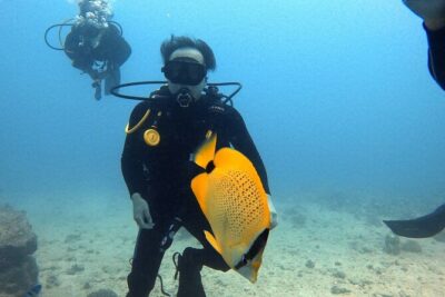 First Time Introductory Scuba Dive - Price and What You Actually Get for $279