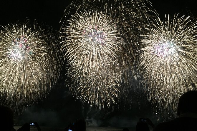 Friday Night Waikiki Fireworks Cruise - Onboard setup: restroom, English guide, and soft drinks