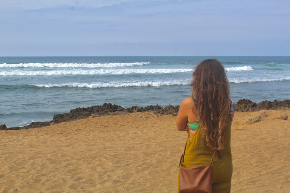 From Honolulu: Epic Island Tour - Tropical Farms tastings: macadamia and coffee without the extra bill