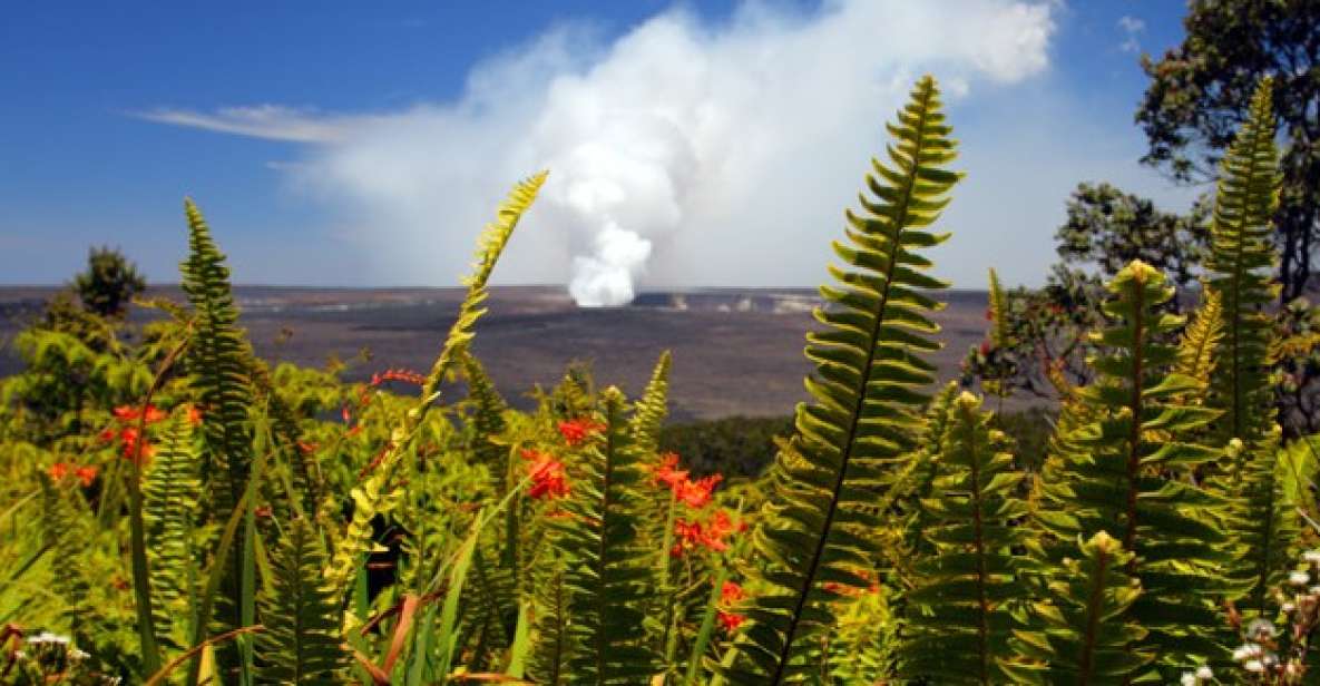 From Oahu: Big Island Volcano Adventure - Nāhuku Lava Tube and Chain of Craters Road