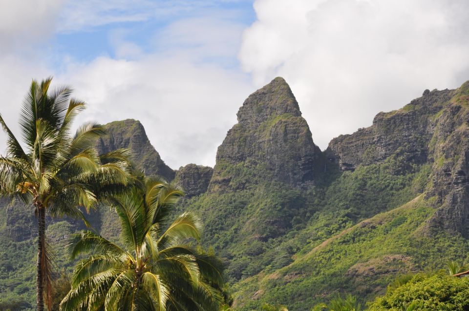 From Oahu: Kauai Highlights & Movie Sites - Key things I’d zero in on