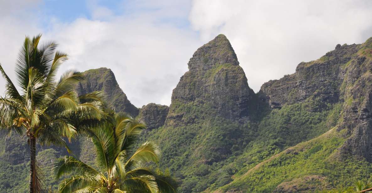 From Oahu: Kauai Highlights & Movie Sites - Hanalei Valley Lookout: taro fields and mountain scale in one frame