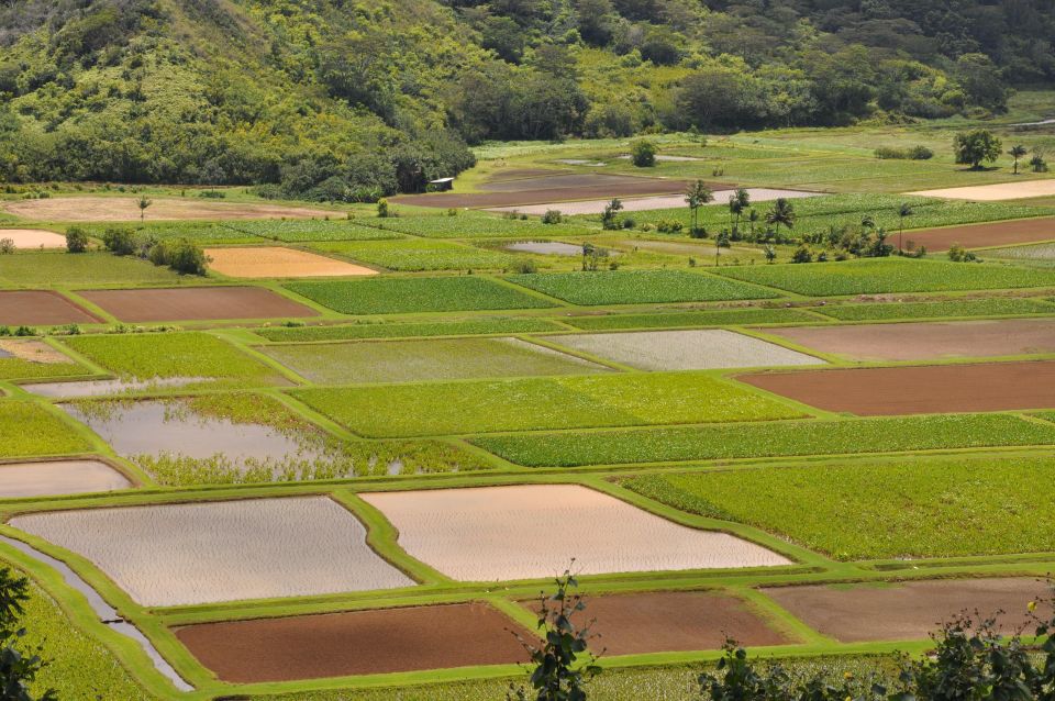 From Oahu: Kauai Highlights & Movie Sites - Value check: is $575 worth it for one day?