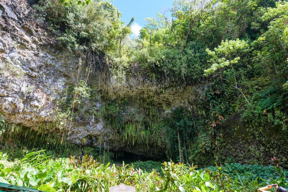 From Oahu: Kauai Waimea Canyon & Wailua River Tour - Wailua River cruise + Fern Grotto: the boat ride is the point